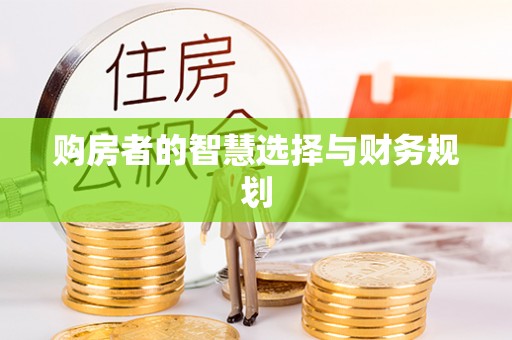 盐水购房者的智慧选择与财务规划