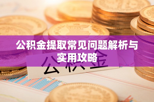 盐水公积金提取常见问题解析与实用攻略