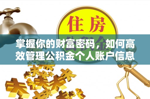 盐水掌握你的财富密码，如何高效管理公积金个人账户信息