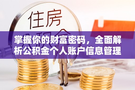 盐水掌握你的财富密码，全面解析公积金个人账户信息管理与优化