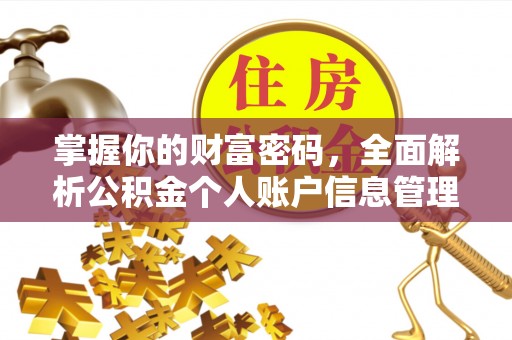 盐水掌握你的财富密码，全面解析公积金个人账户信息管理