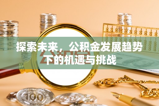 盐水探索未来，公积金发展趋势下的机遇与挑战